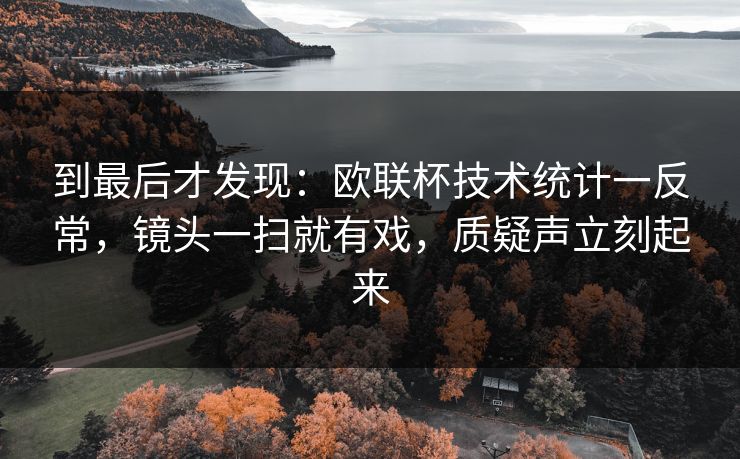 到最后才发现：欧联杯技术统计一反常，镜头一扫就有戏，质疑声立刻起来  第1张