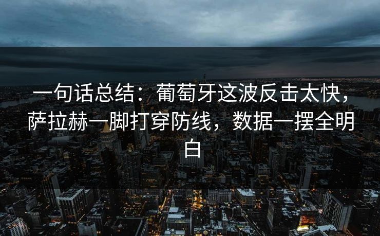 一句话总结：葡萄牙这波反击太快，萨拉赫一脚打穿防线，数据一摆全明白