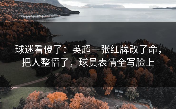 球迷看傻了：英超一张红牌改了命，把人整懵了，球员表情全写脸上