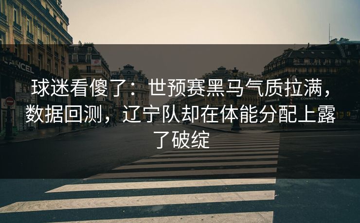 球迷看傻了：世预赛黑马气质拉满，数据回测，辽宁队却在体能分配上露了破绽  第1张